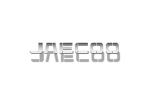 Омыватели камер Jaecoo